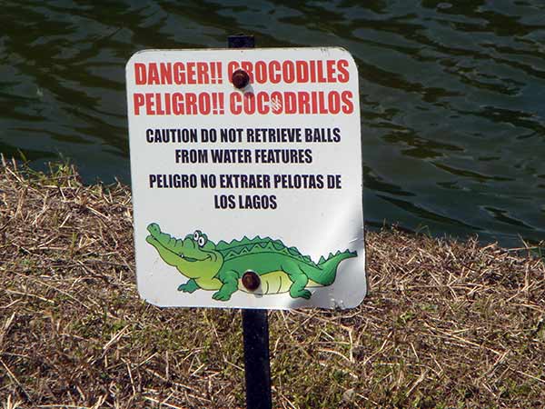 Achtung Krokodile