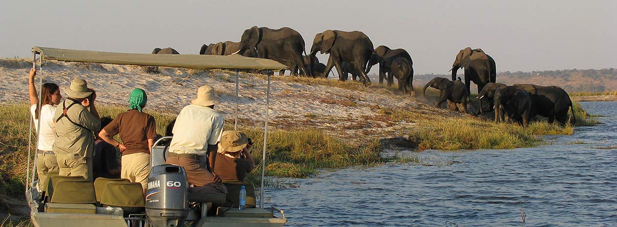 Safariausflug Zambezi Queen