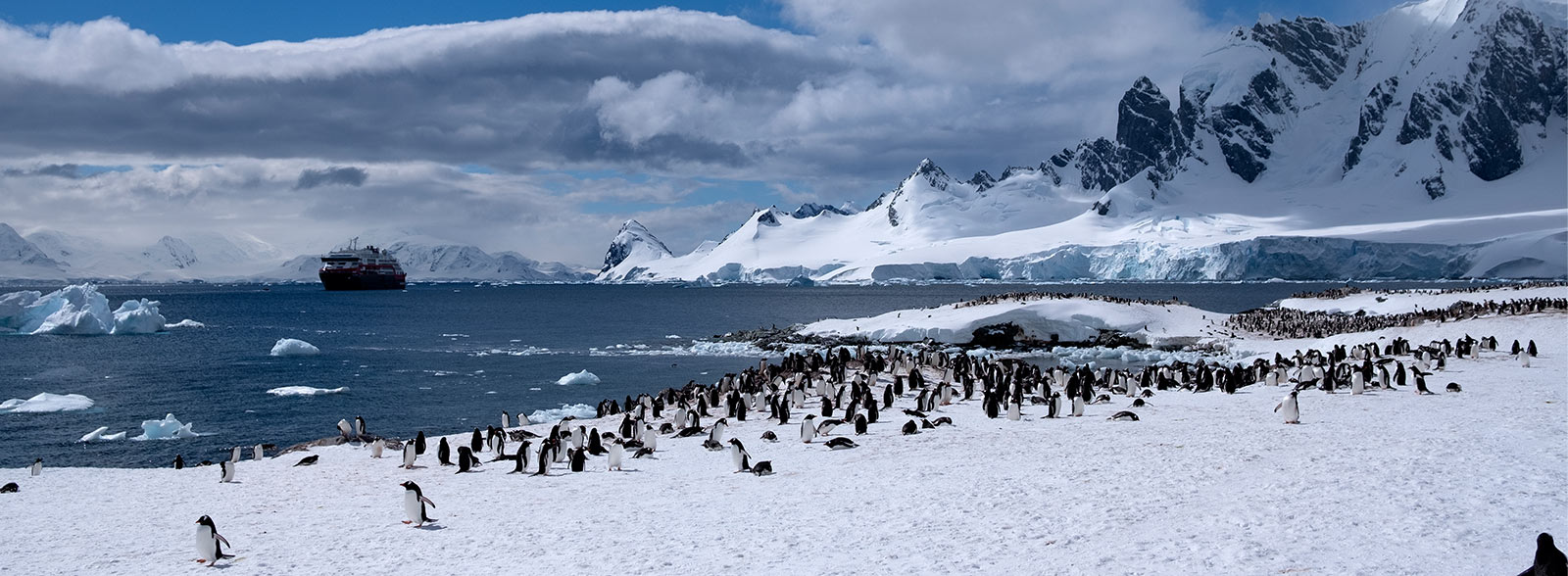 Cuverville Island Antarctica