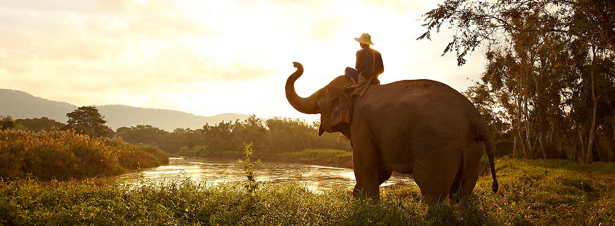 Elephant and Mahout